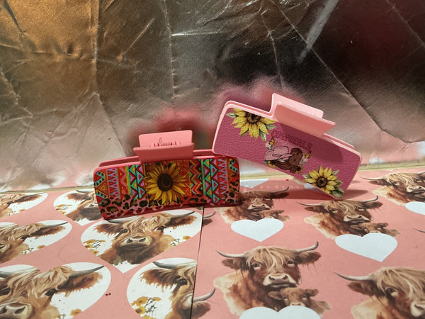 Western Hair Clips